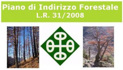 Piano di Indirizzo Forestale della CMV